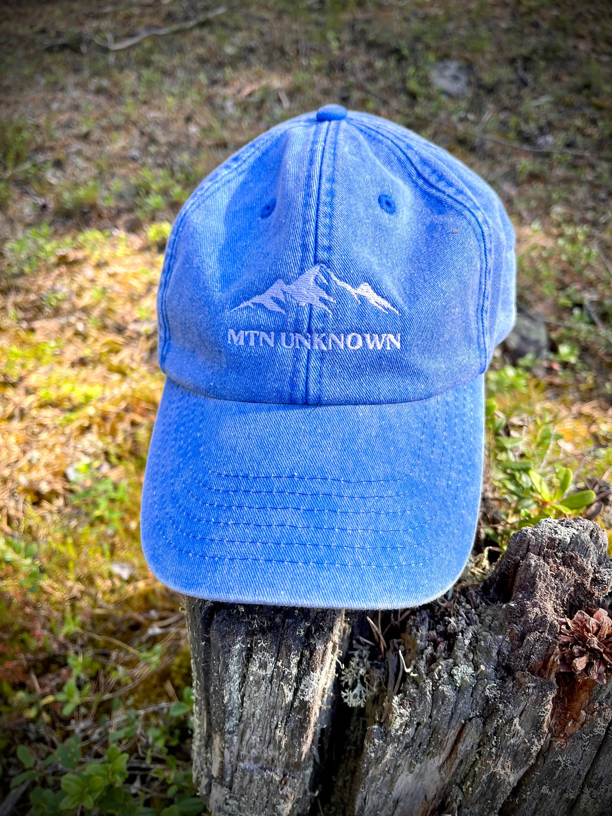NEW! Vintage Mountain Dad Cap