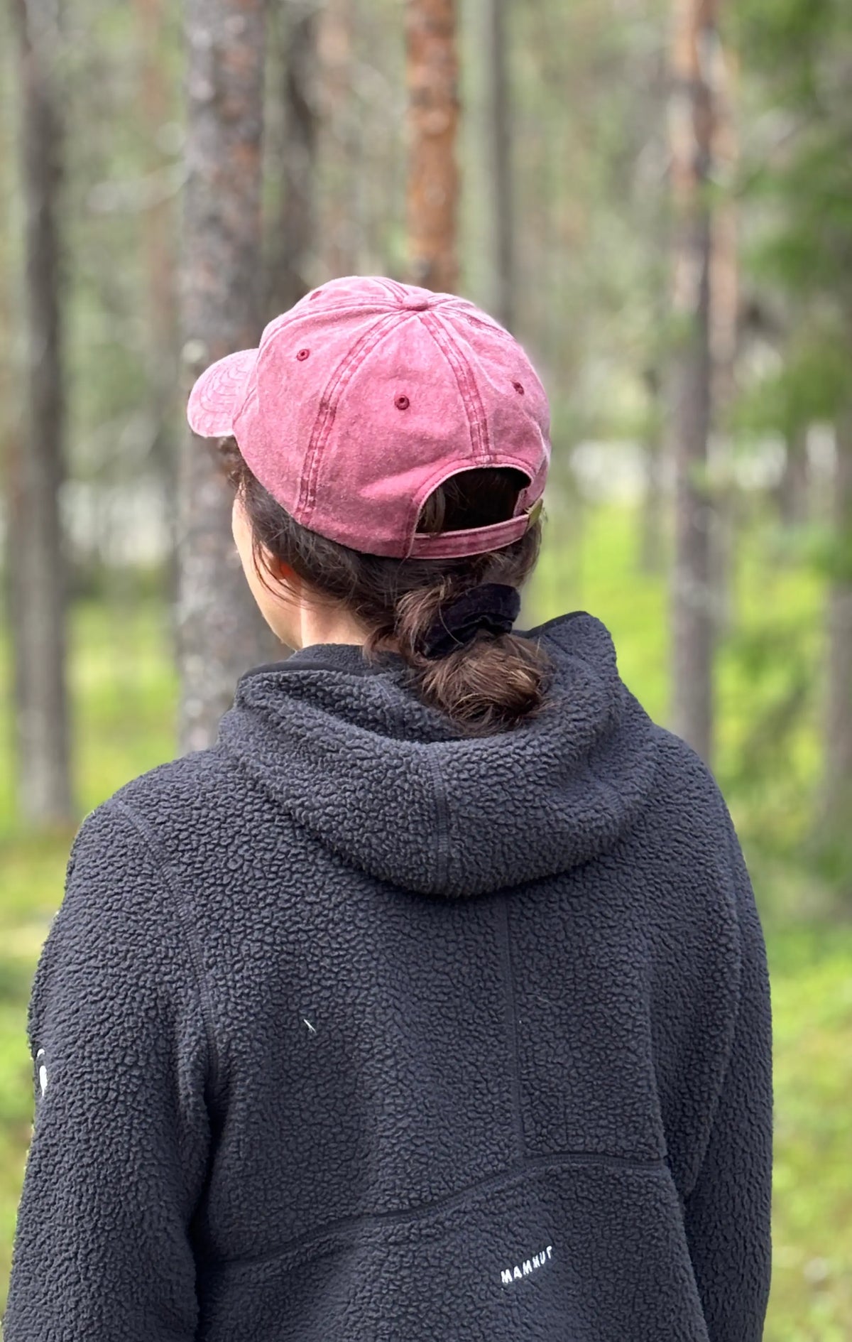 NEW! Vintage Mountain Dad Cap