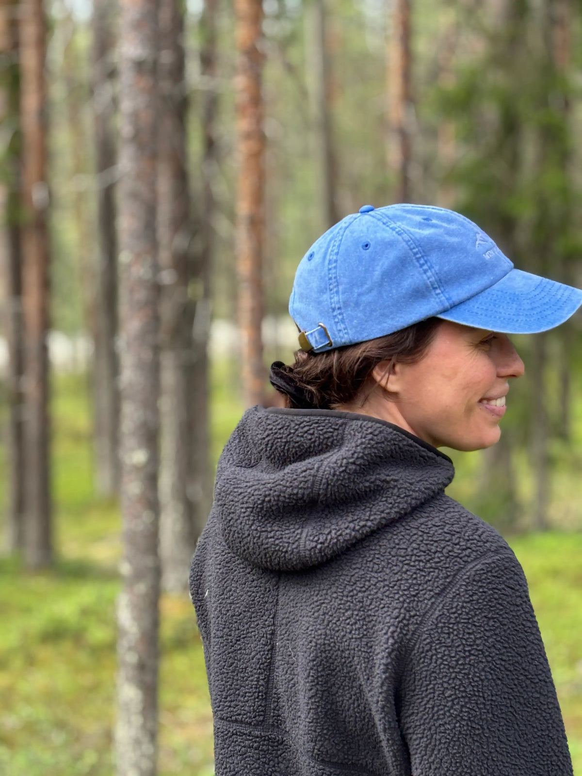 NEW! Vintage Mountain Dad Cap