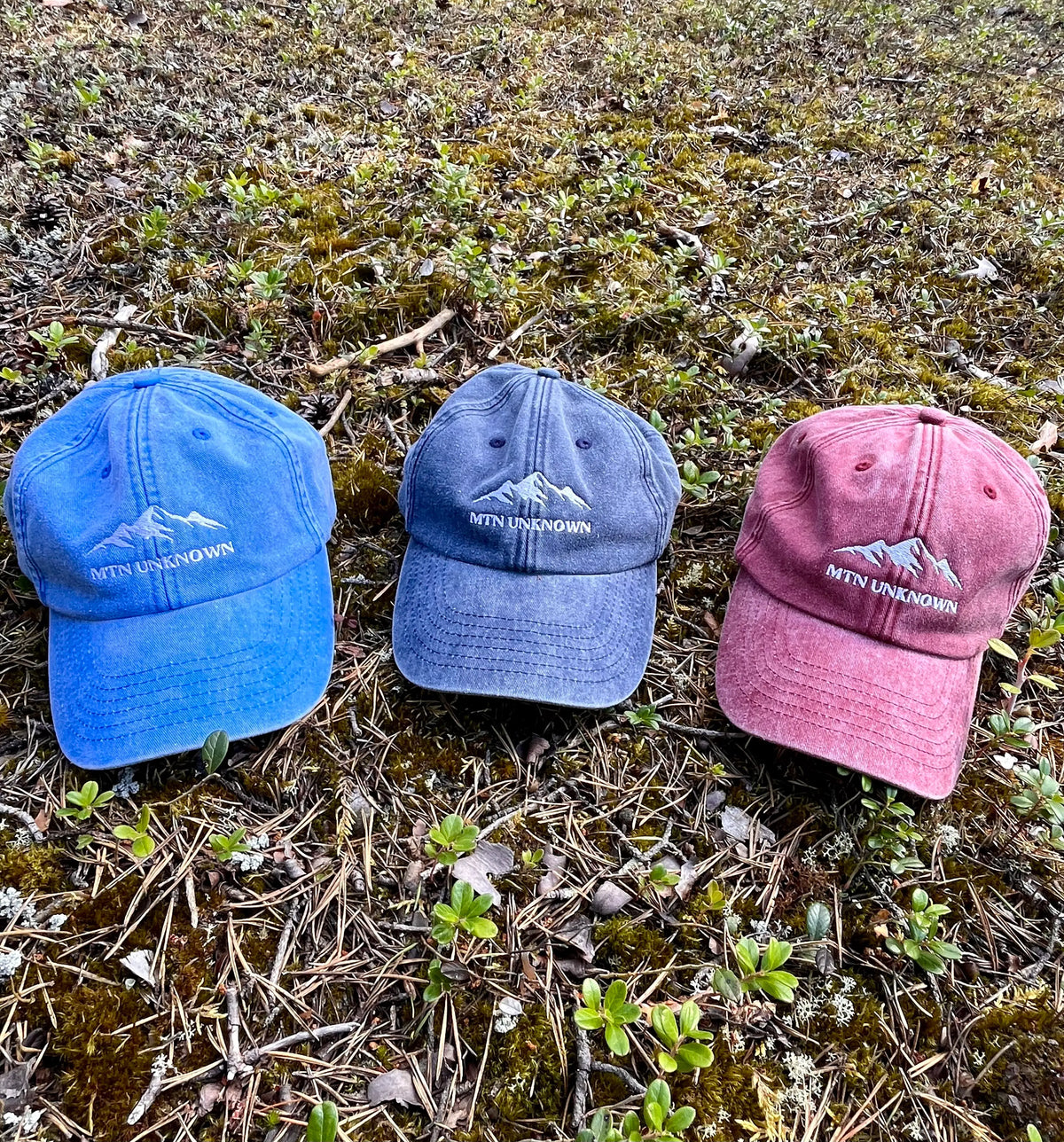 NEW! Vintage Mountain Dad Cap