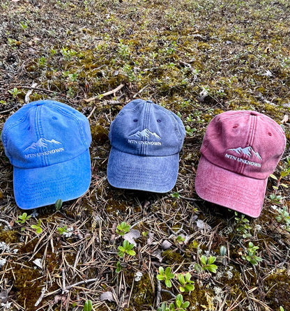 NEW! Vintage Mountain Dad Cap