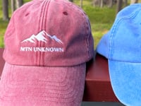 NEW! Vintage Mountain Dad Cap